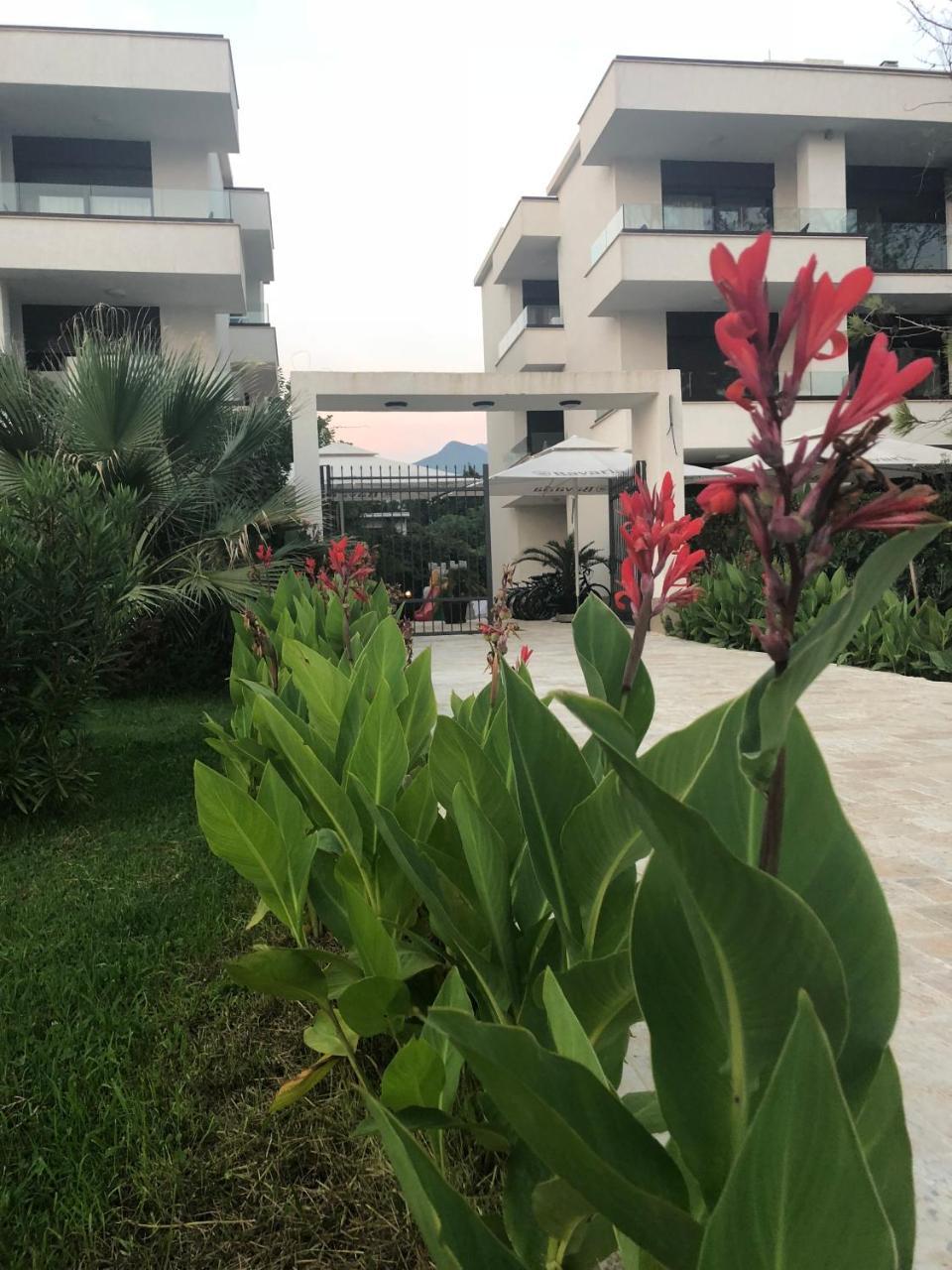 Apartments Kuce Lekovica Beach & Snack Bar- Bistro Exterior foto